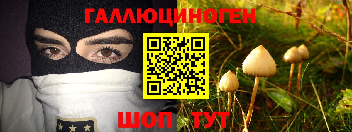 Галлюциногенные грибы мицелий  хочу наркоту  Александров  Вход с VPN  Галлюциногенные грибы MAGIC MUSHROOMS 